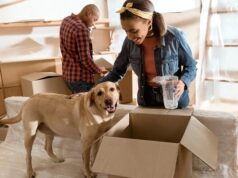 5 Things You Need To Know About Relocating Your Pet To Another Country Relocating Your Pet